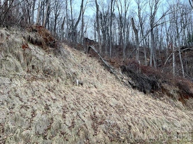 Lot at 89 Weeping Cherry Forest Road, Fairview, photo 4 of 9