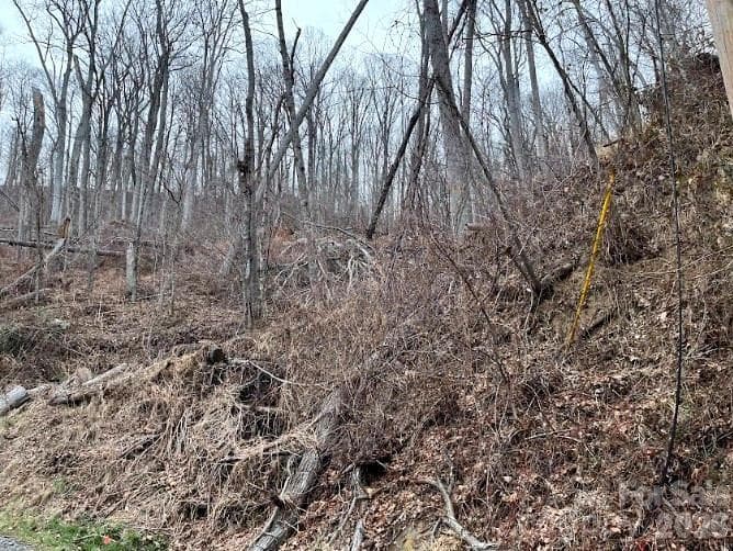 Lot at 65 Weeping Cherry Forest Road, Fairview, photo 2 of 8