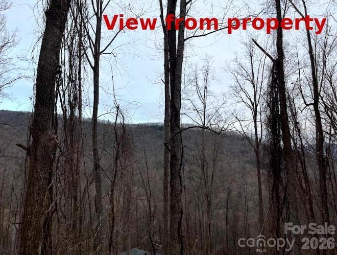 Lot at 65 Weeping Cherry Forest Road, Fairview, photo 3 of 8