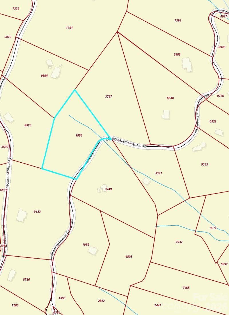 GIS showing stream - 89 Weeping Cherry Forest Road, Fairview