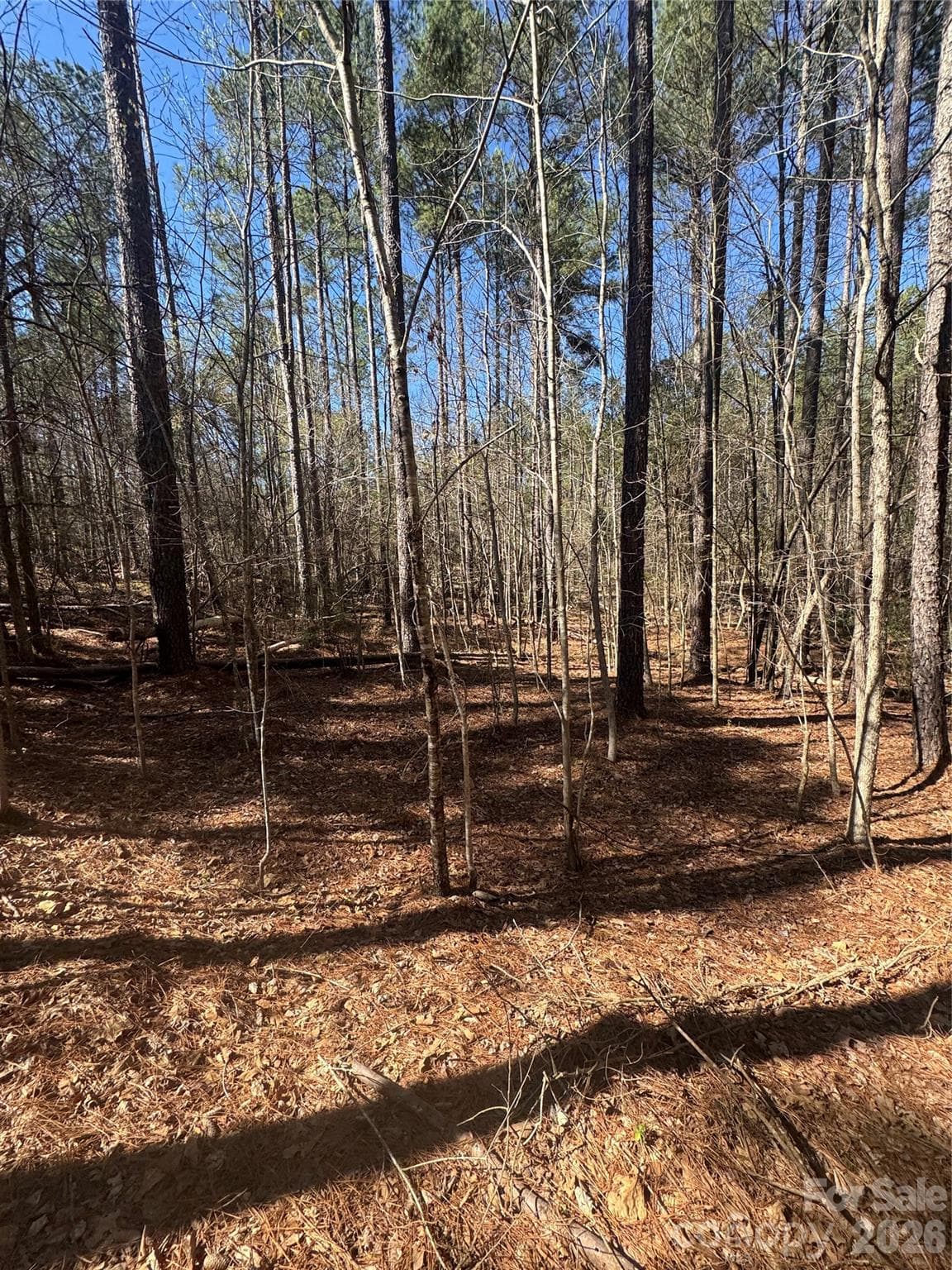 Lot at Chester, photo 2 of 18