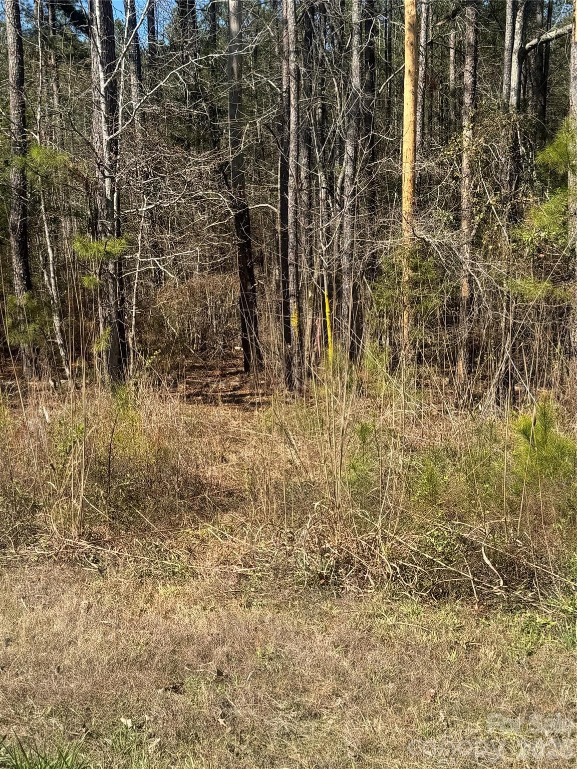 Lot at Chester, photo 3 of 18
