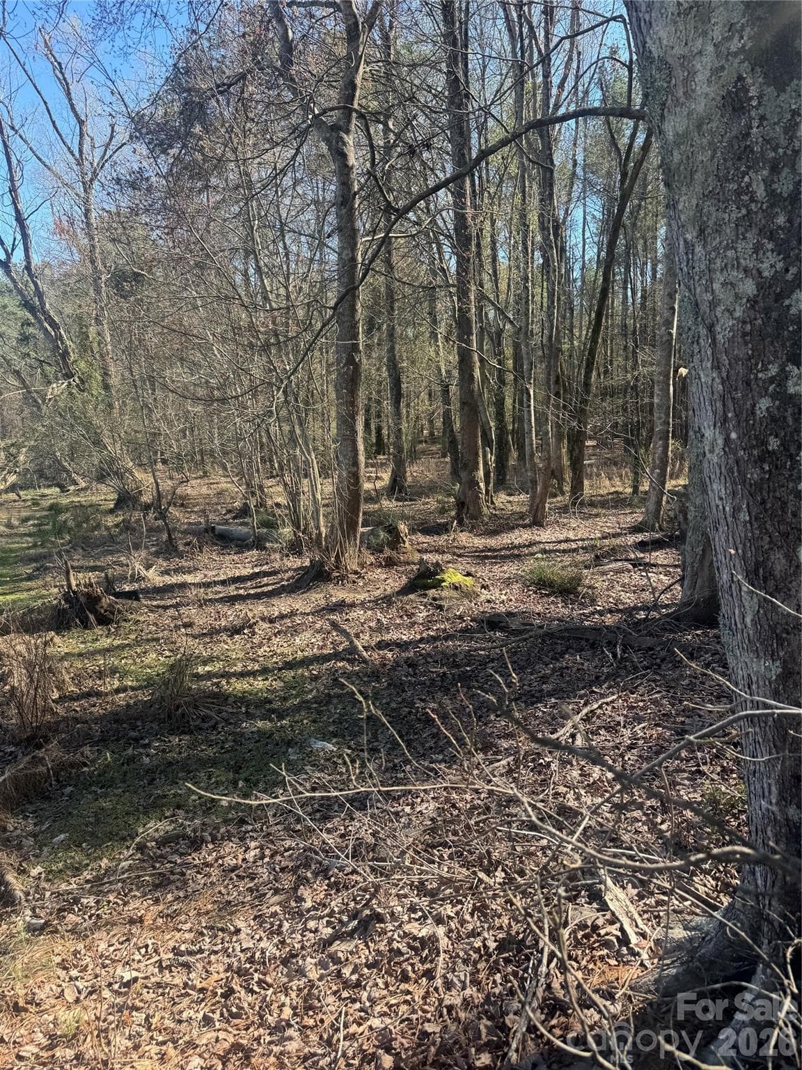 Lot at Chester, photo 4 of 18