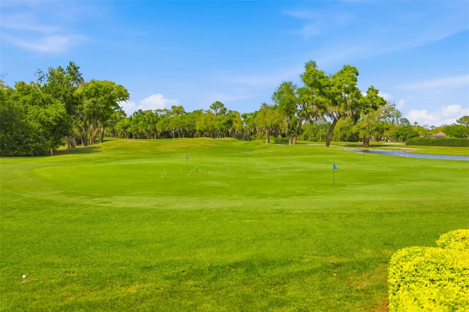 Championship Golf Course - 10107 CARNOUSTIE PL, BRADENTON