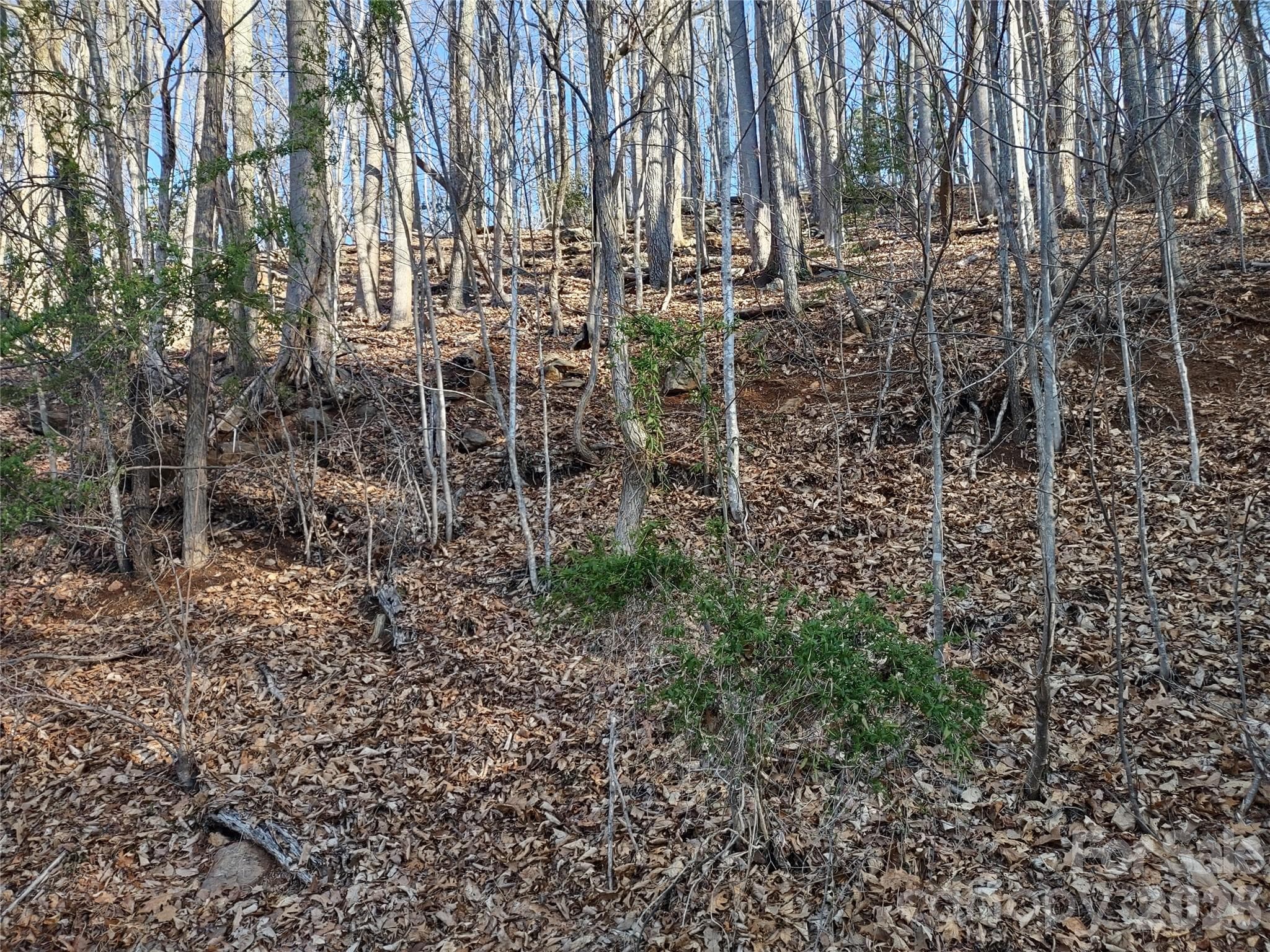 Lot View - 99999 Cedar Drive, Mills River