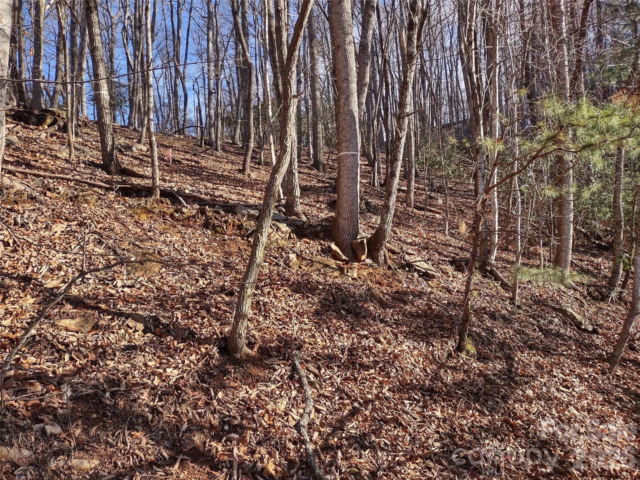Lot View - 99999 Cedar Drive, Mills River