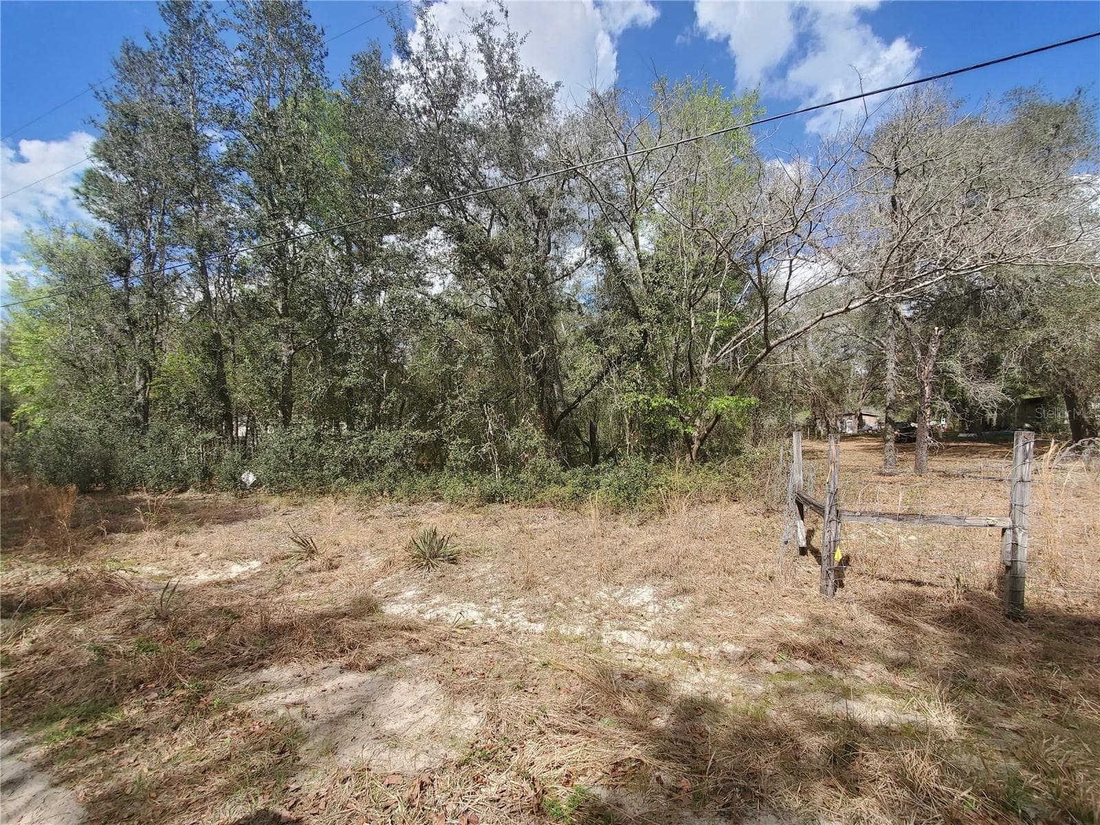 Land at NE 172ND PL LOT 11, FORT MC COY, photo 2 of 8