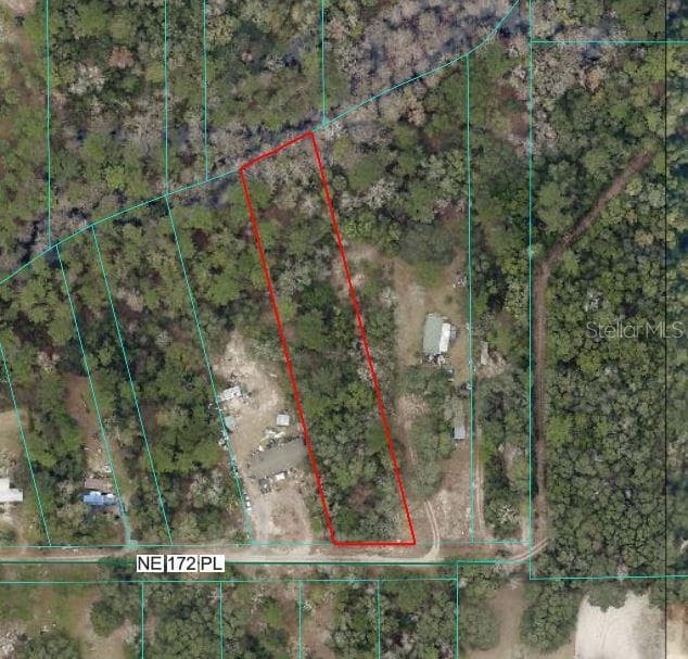 Land at NE 172ND PL LOT 11, FORT MC COY, photo 3 of 8