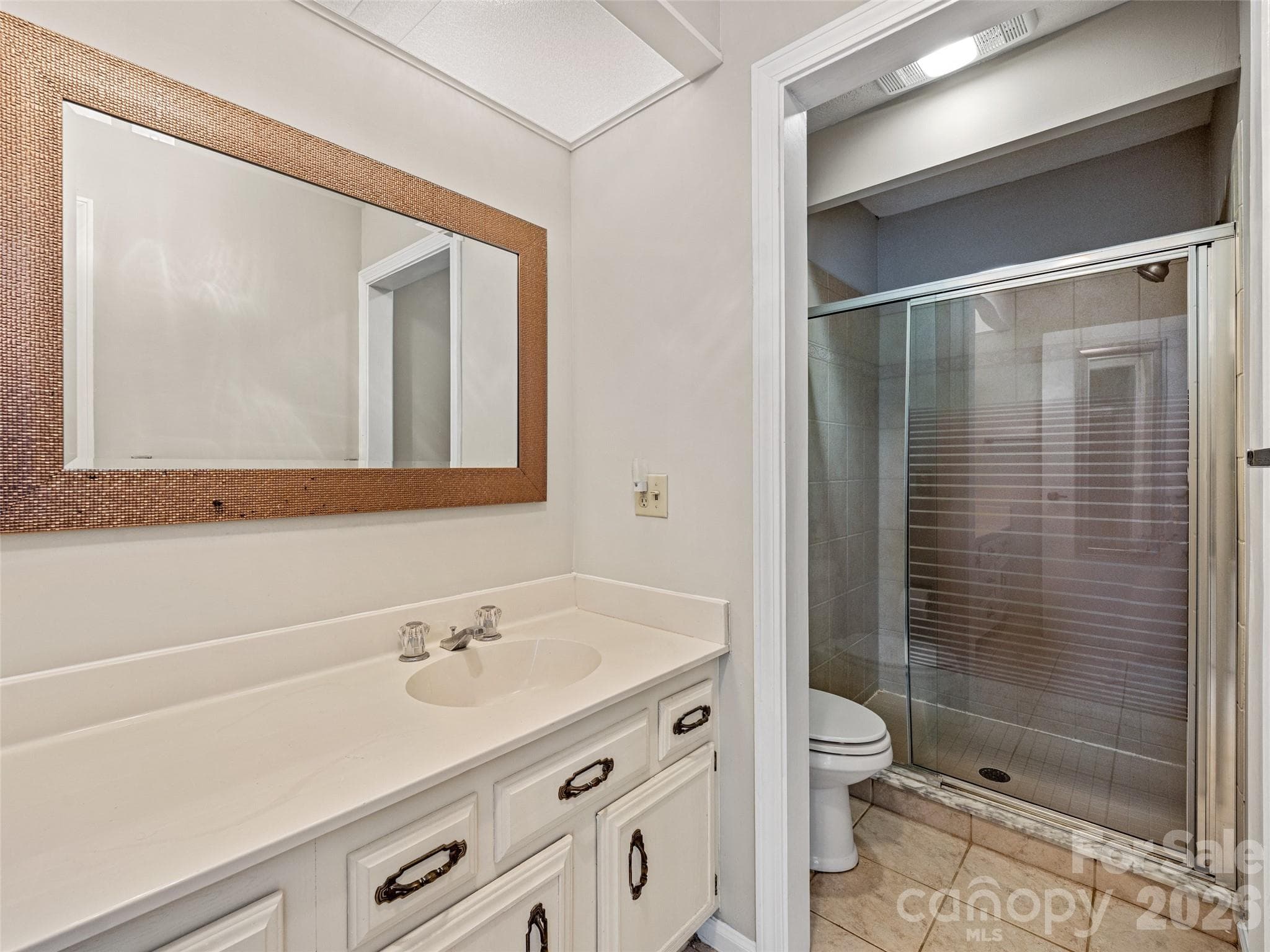 Primary en suite bathroom - Hendersonville