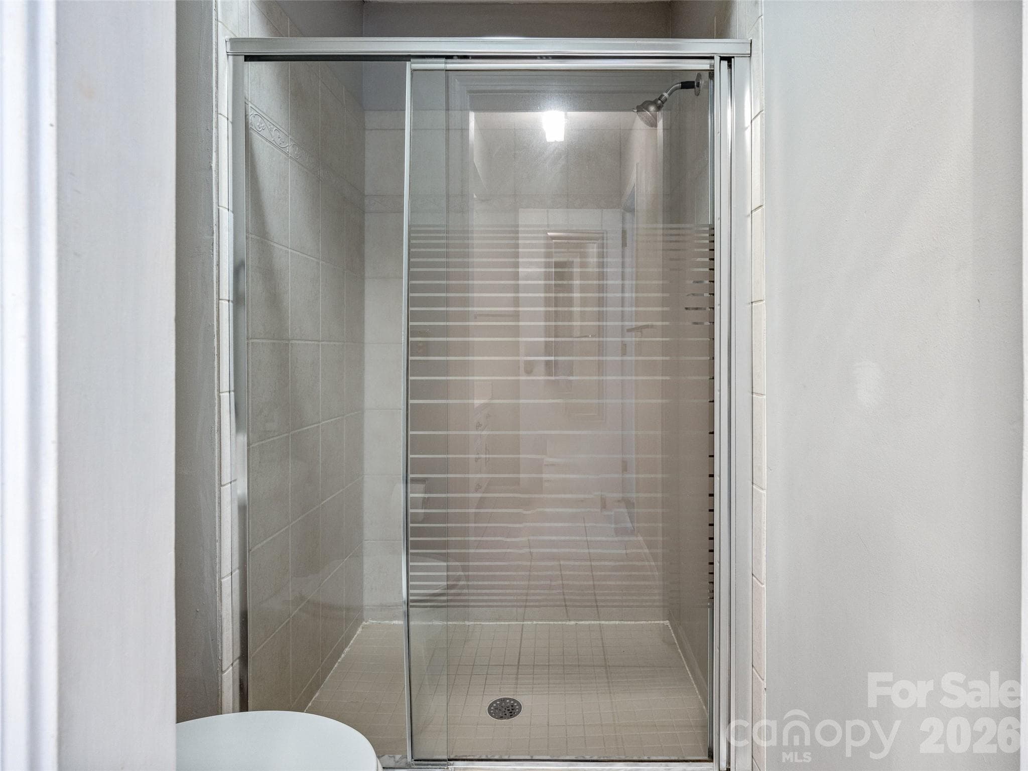 Primary bath shower - Hendersonville