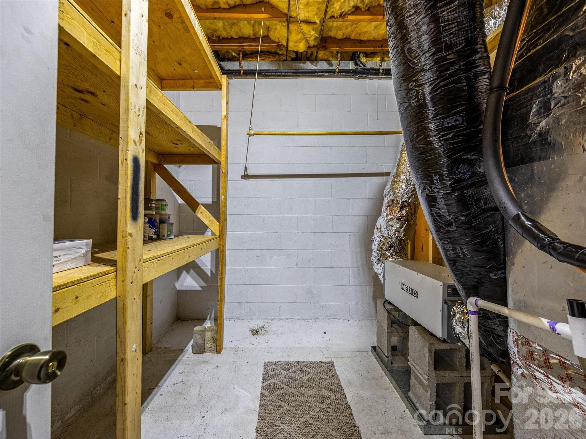 Storage area in basement apartment - Hendersonville