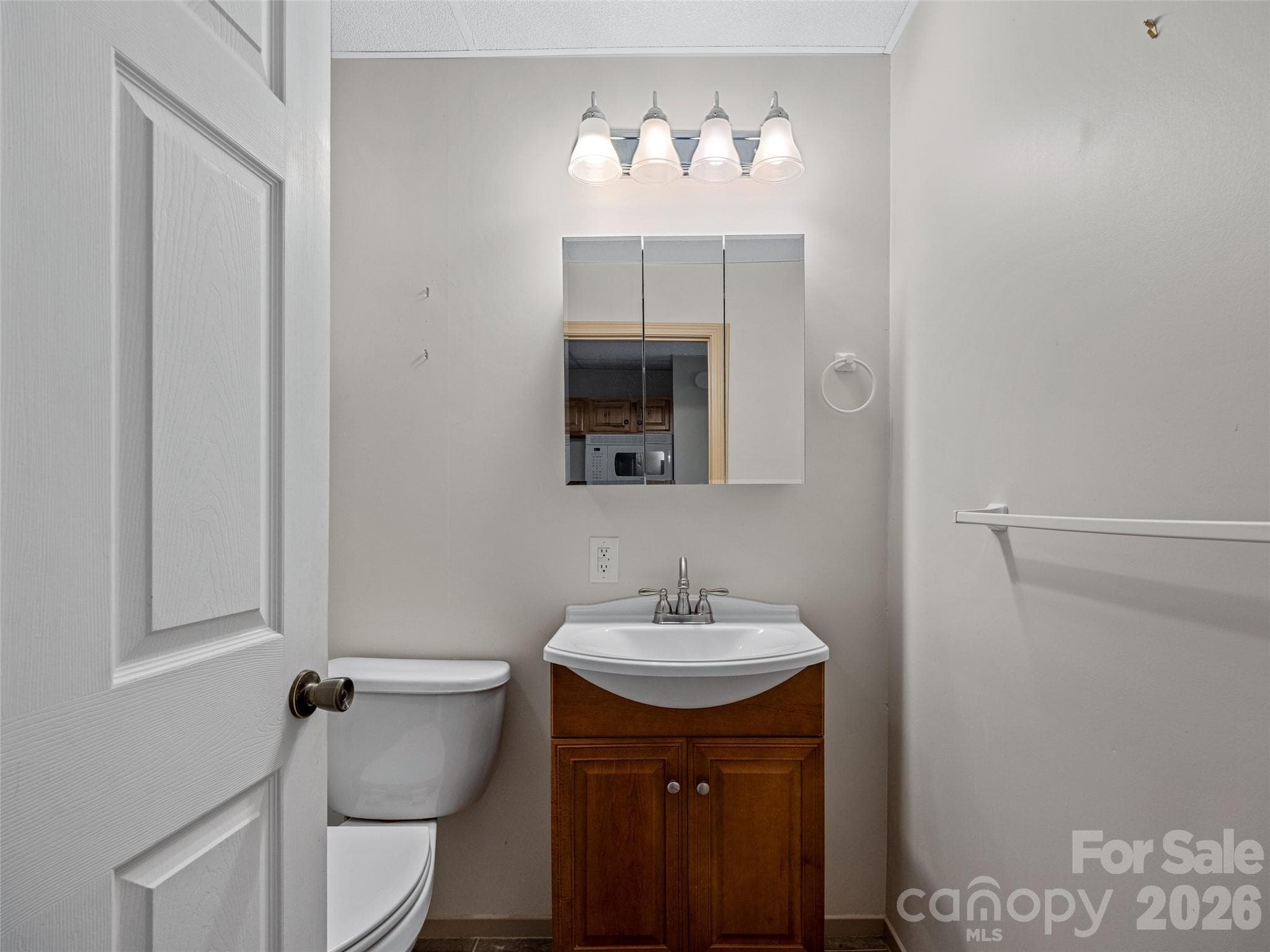 Basement apartment vanity - Hendersonville