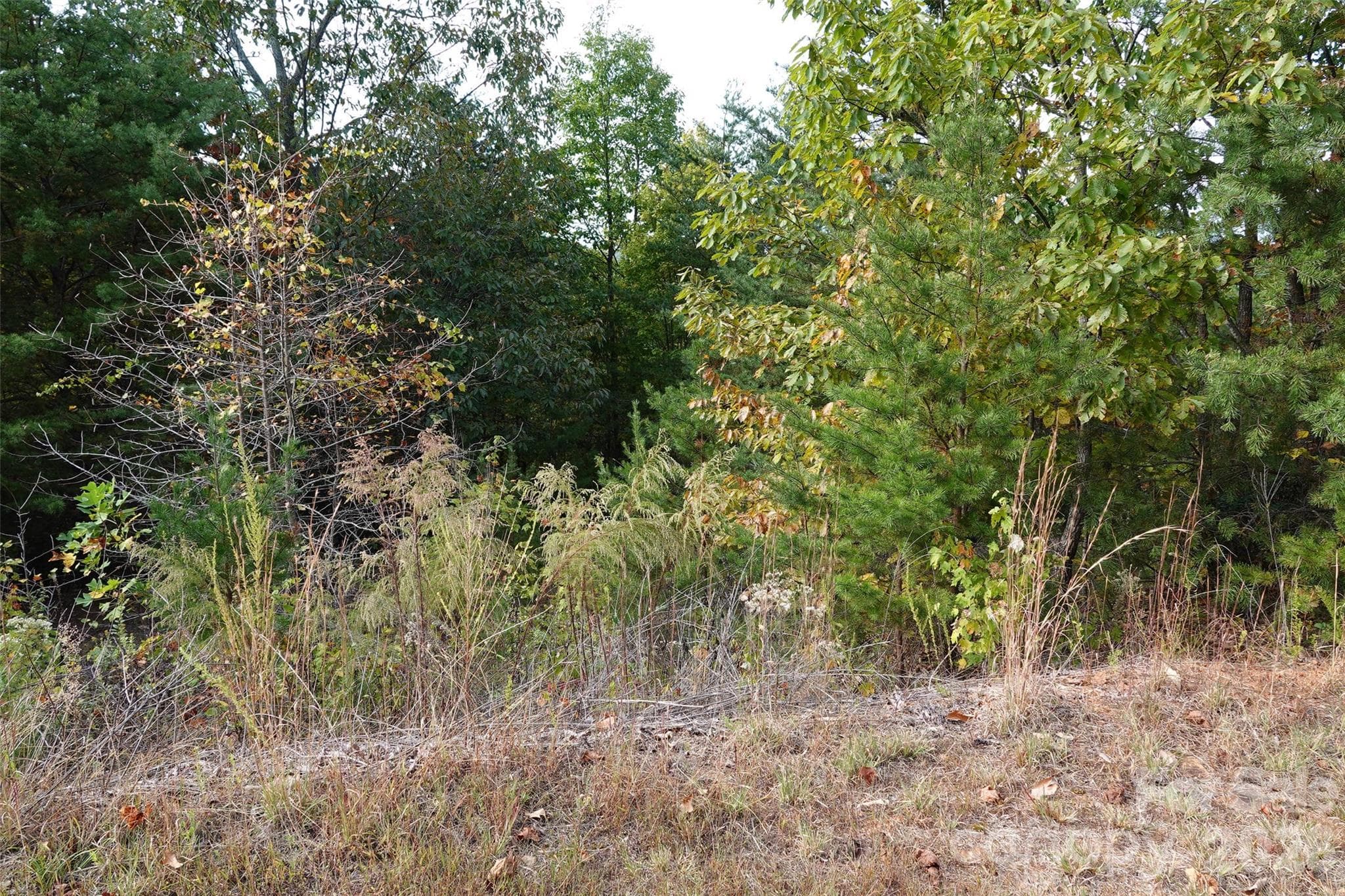 Lot at 109 Ampersand Trail, Bostic, photo 2 of 20