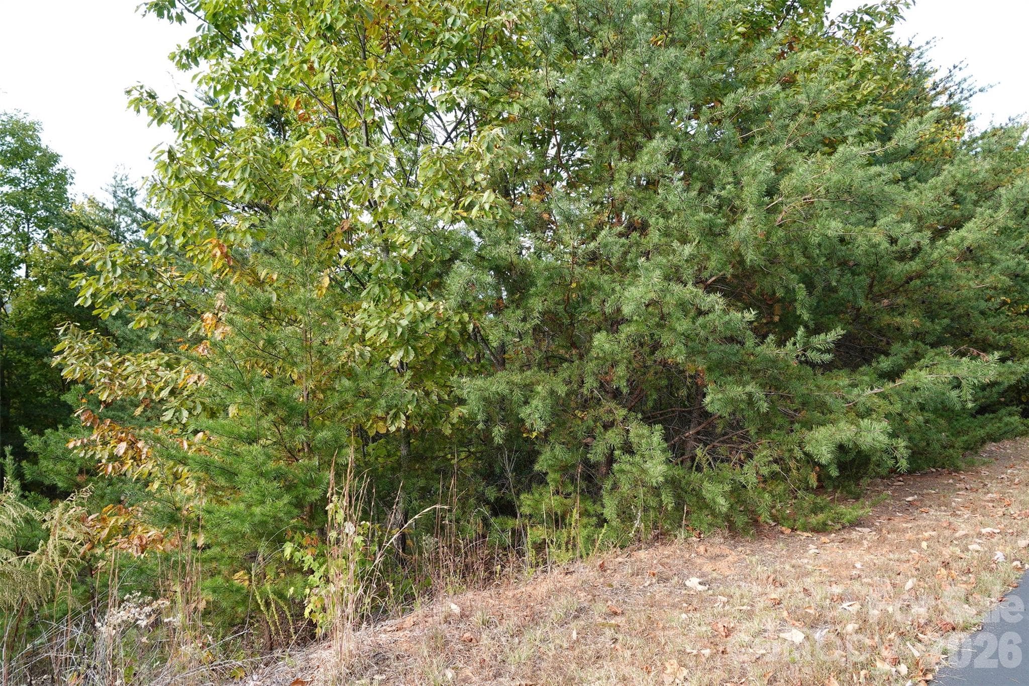 Lot at 109 Ampersand Trail, Bostic, photo 3 of 20