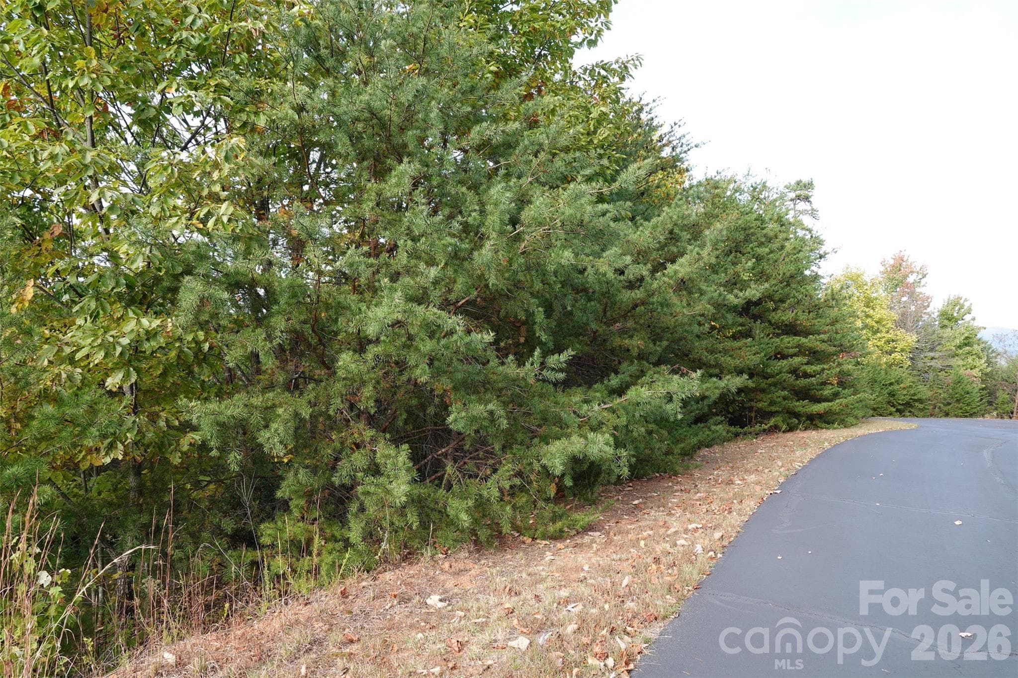 Lot at 109 Ampersand Trail, Bostic, photo 4 of 20