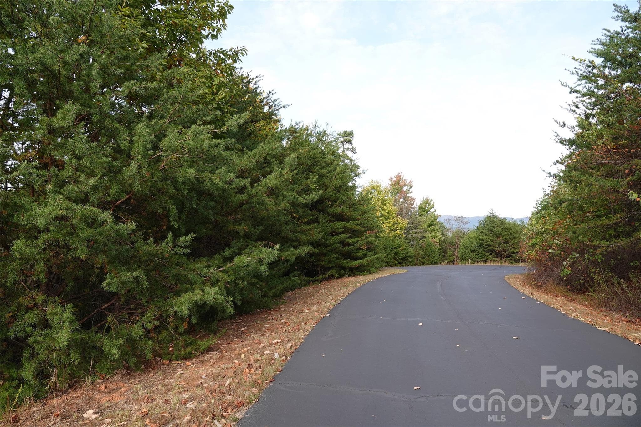 Lot at 109 Ampersand Trail, Bostic, photo 5 of 20