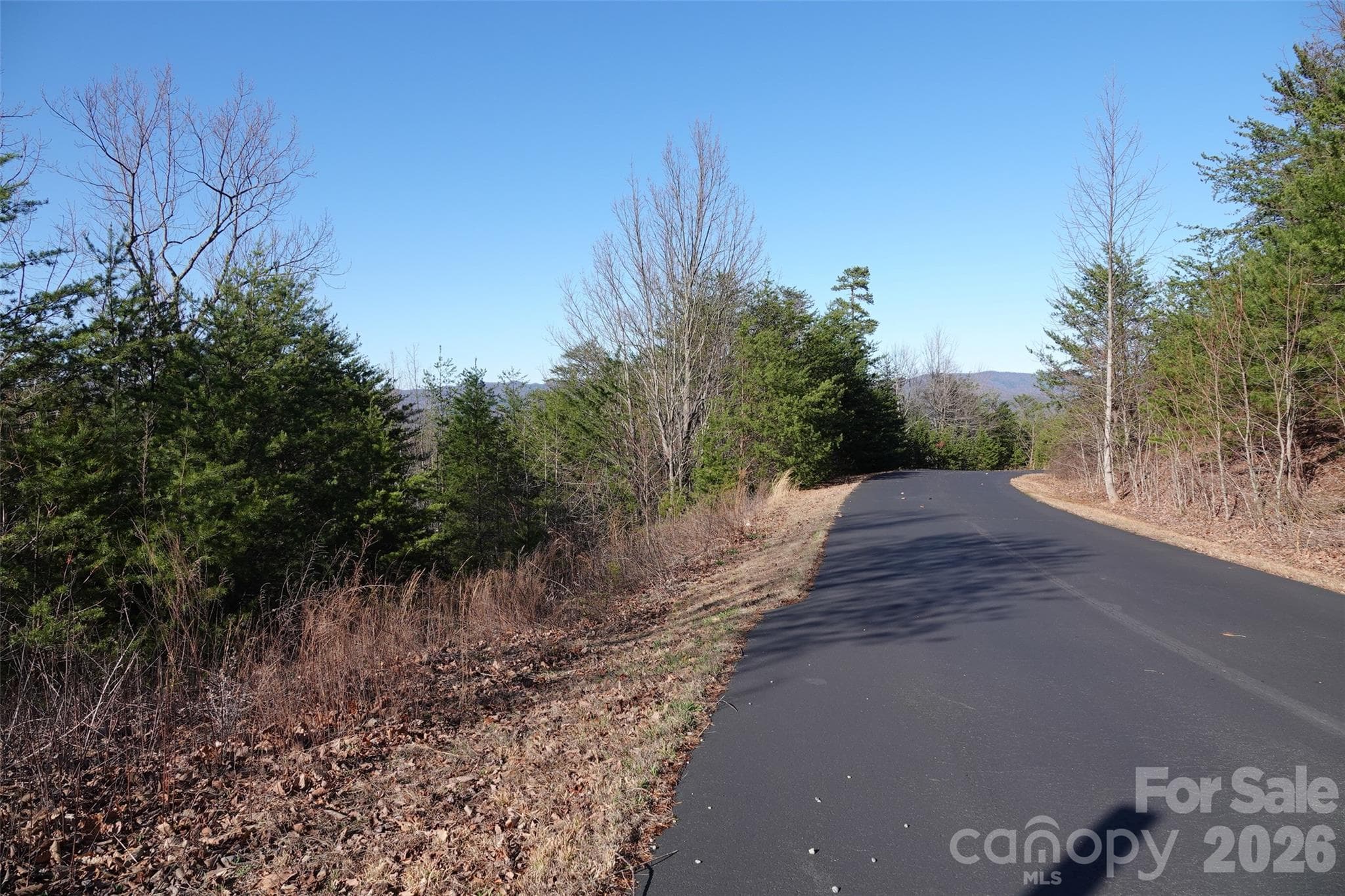Lot at 109 Ampersand Trail, Bostic, photo 7 of 20