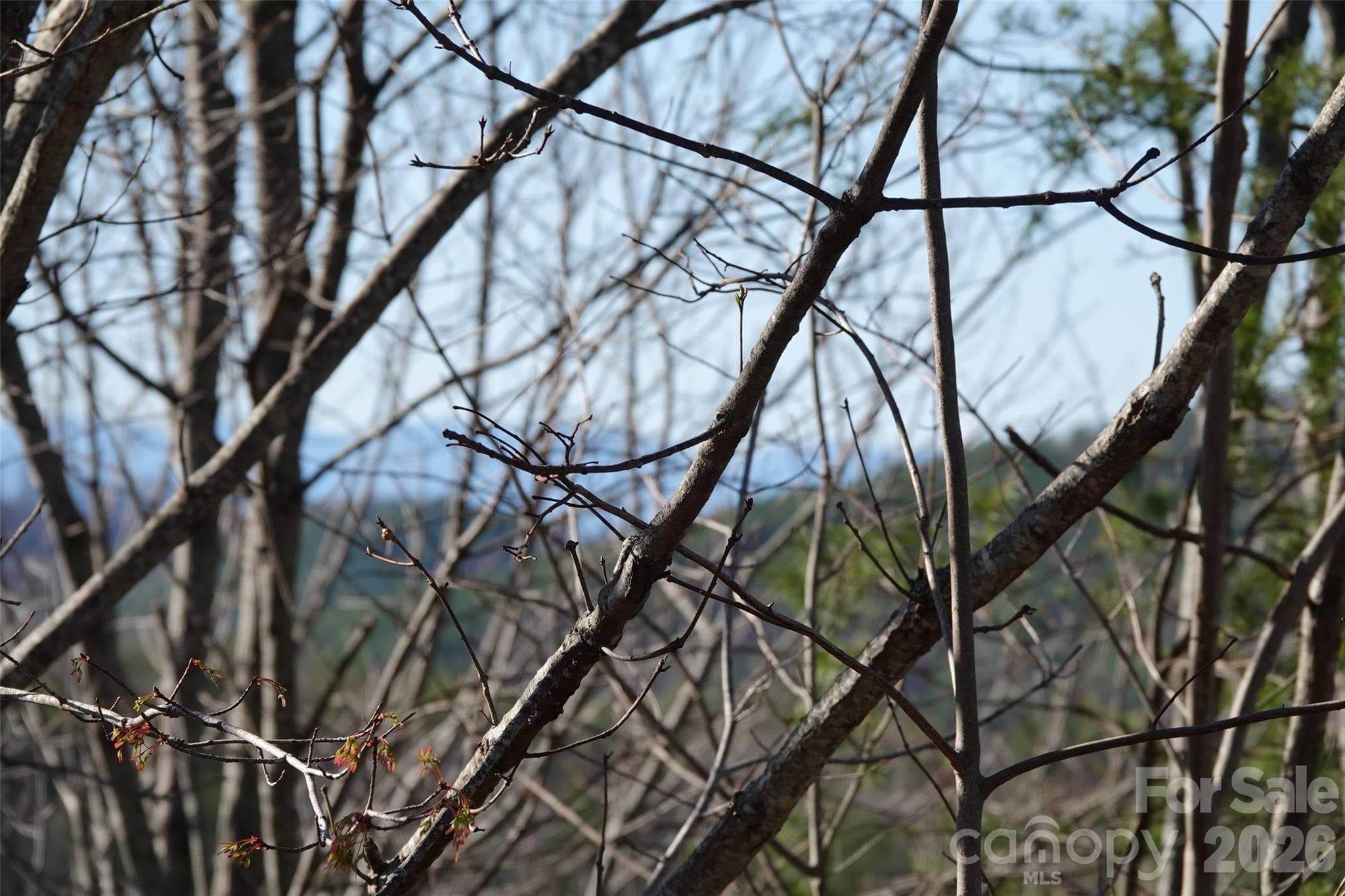 Lot at 109 Ampersand Trail, Bostic, photo 8 of 20