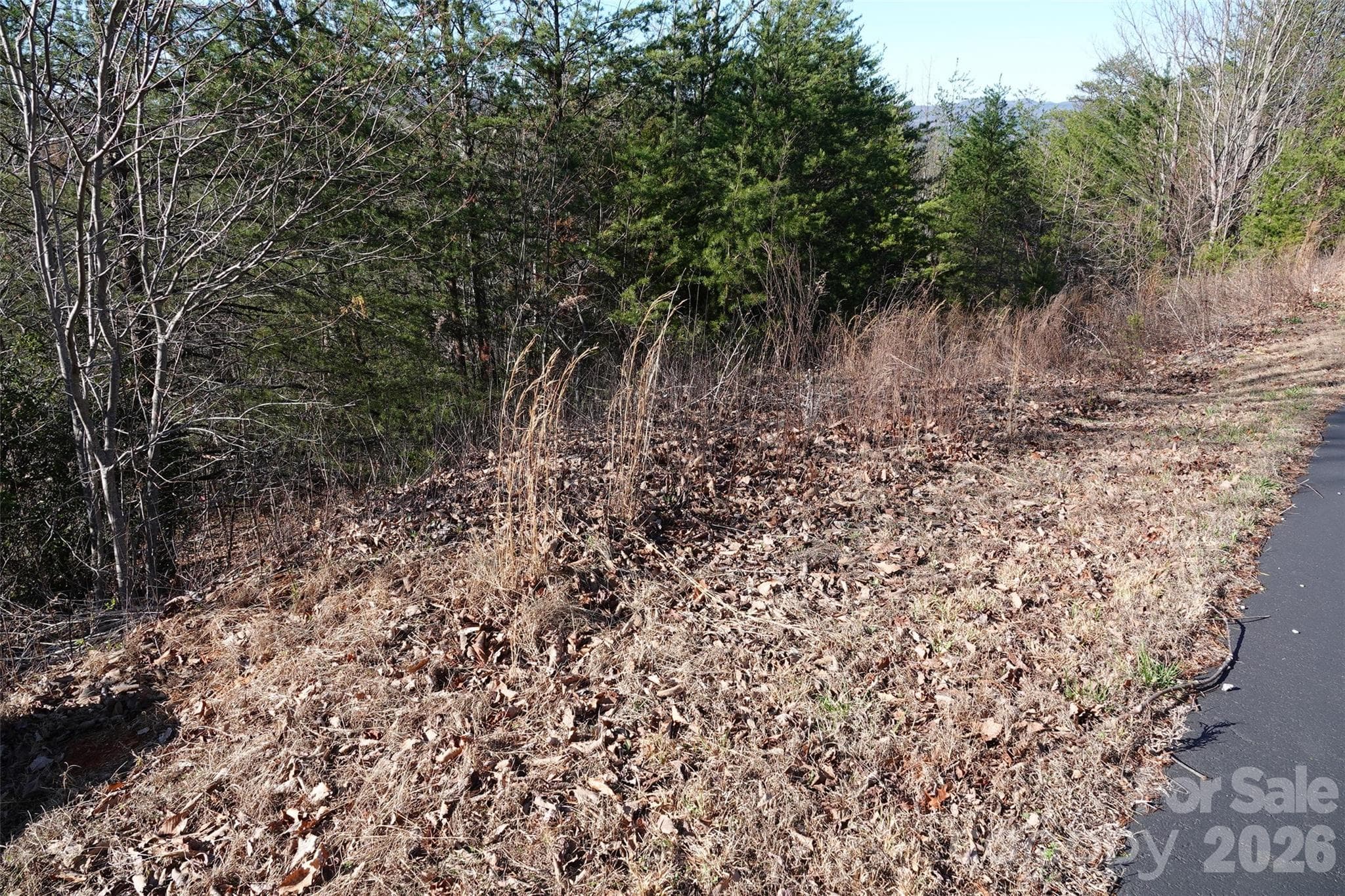 Lot at 109 Ampersand Trail, Bostic, photo 10 of 20
