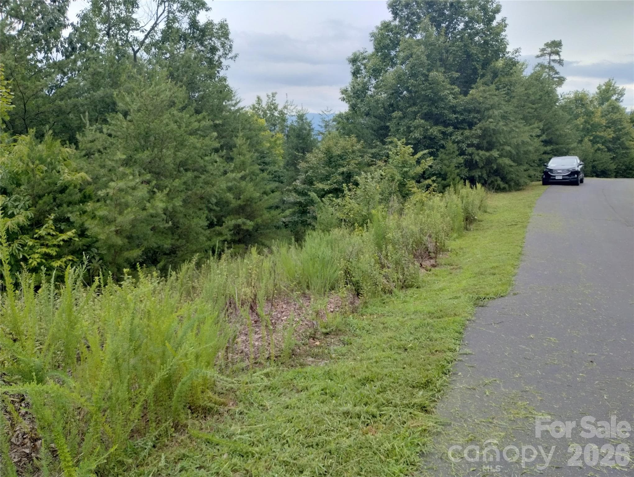 Lot at 109 Ampersand Trail, Bostic, photo 11 of 20