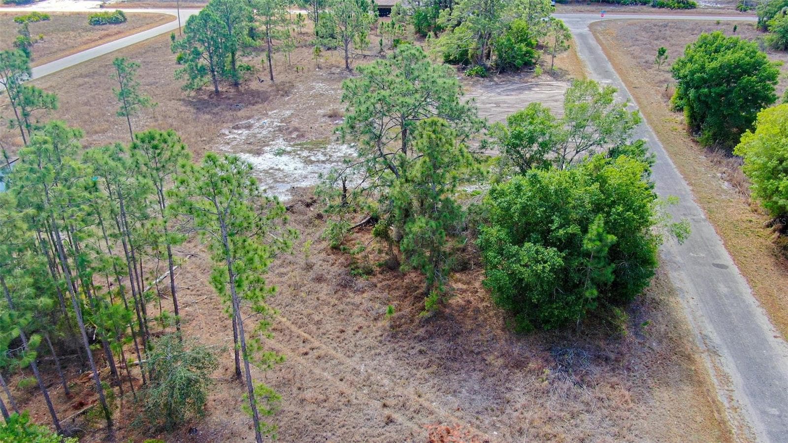 Land at 841 DANTE AVE S, LEHIGH ACRES, photo 3 of 16