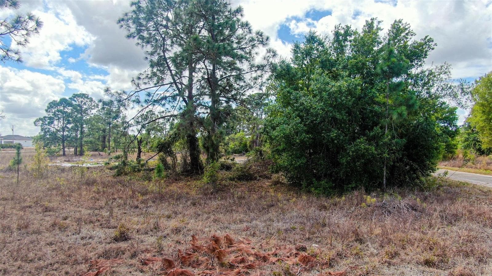 Land at 841 DANTE AVE S, LEHIGH ACRES, photo 9 of 16