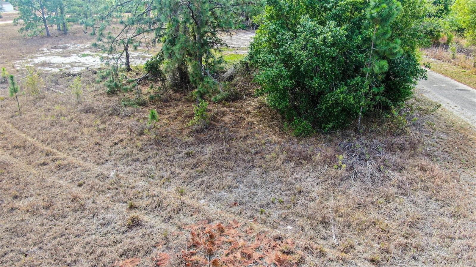 Land at 841 DANTE AVE S, LEHIGH ACRES, photo 10 of 16
