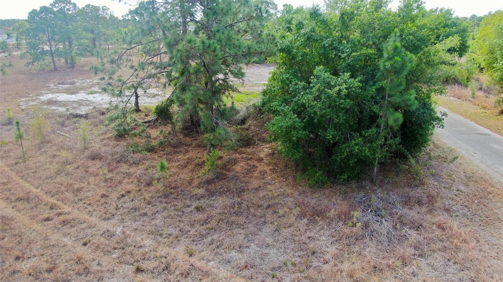 Land at 841 DANTE AVE S, LEHIGH ACRES, photo 11 of 16