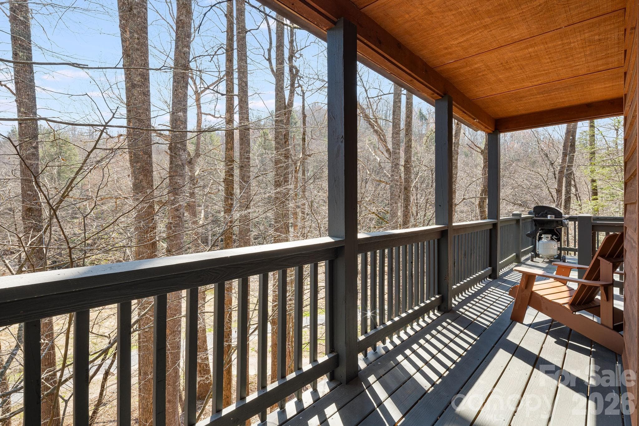 Single Family Residence at Black Mountain, photo 4 of 31