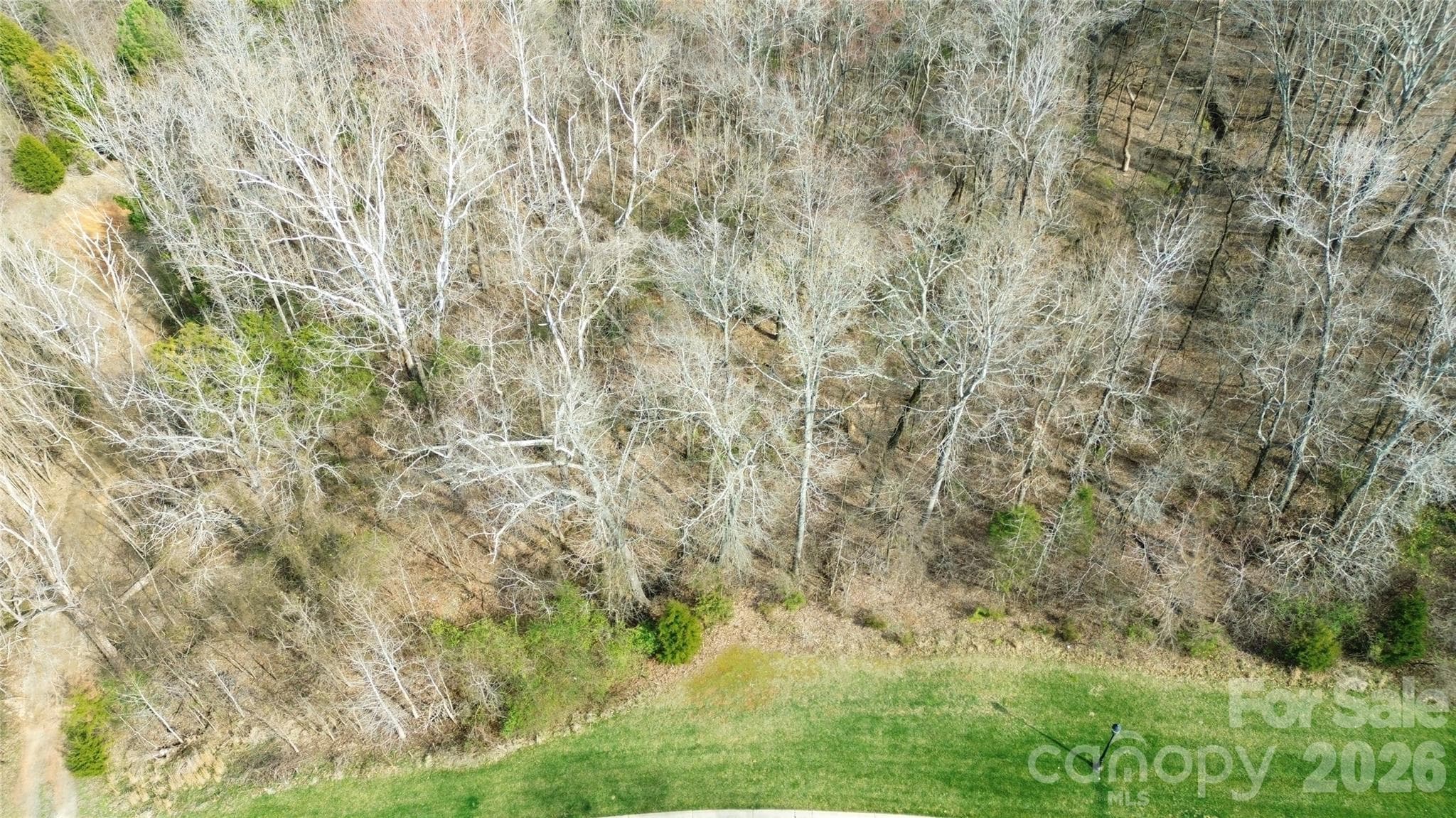 Lot at 8206 Caliterra Drive, Charlotte, photo 2 of 6