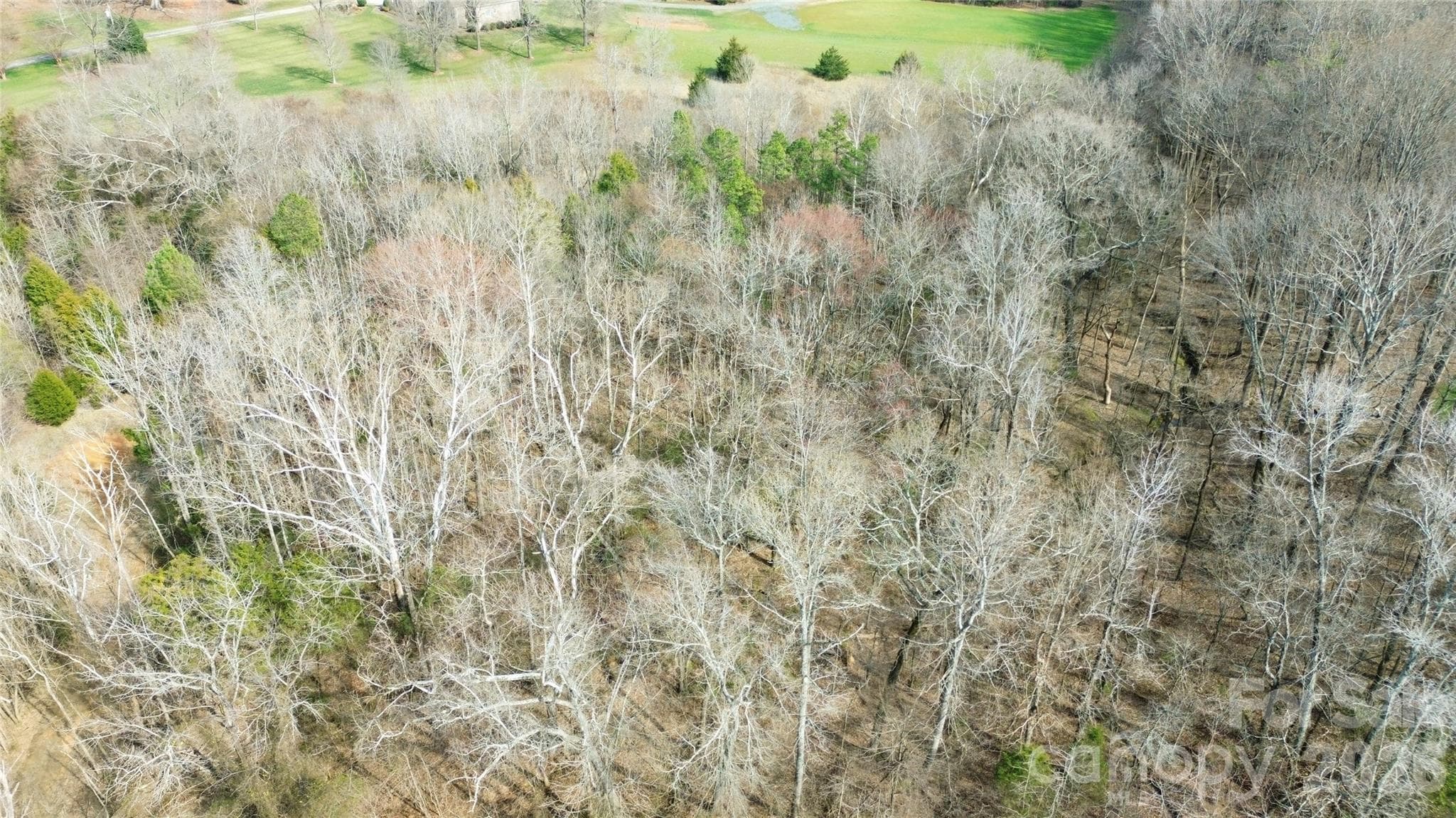 Lot at 8206 Caliterra Drive, Charlotte, photo 3 of 6