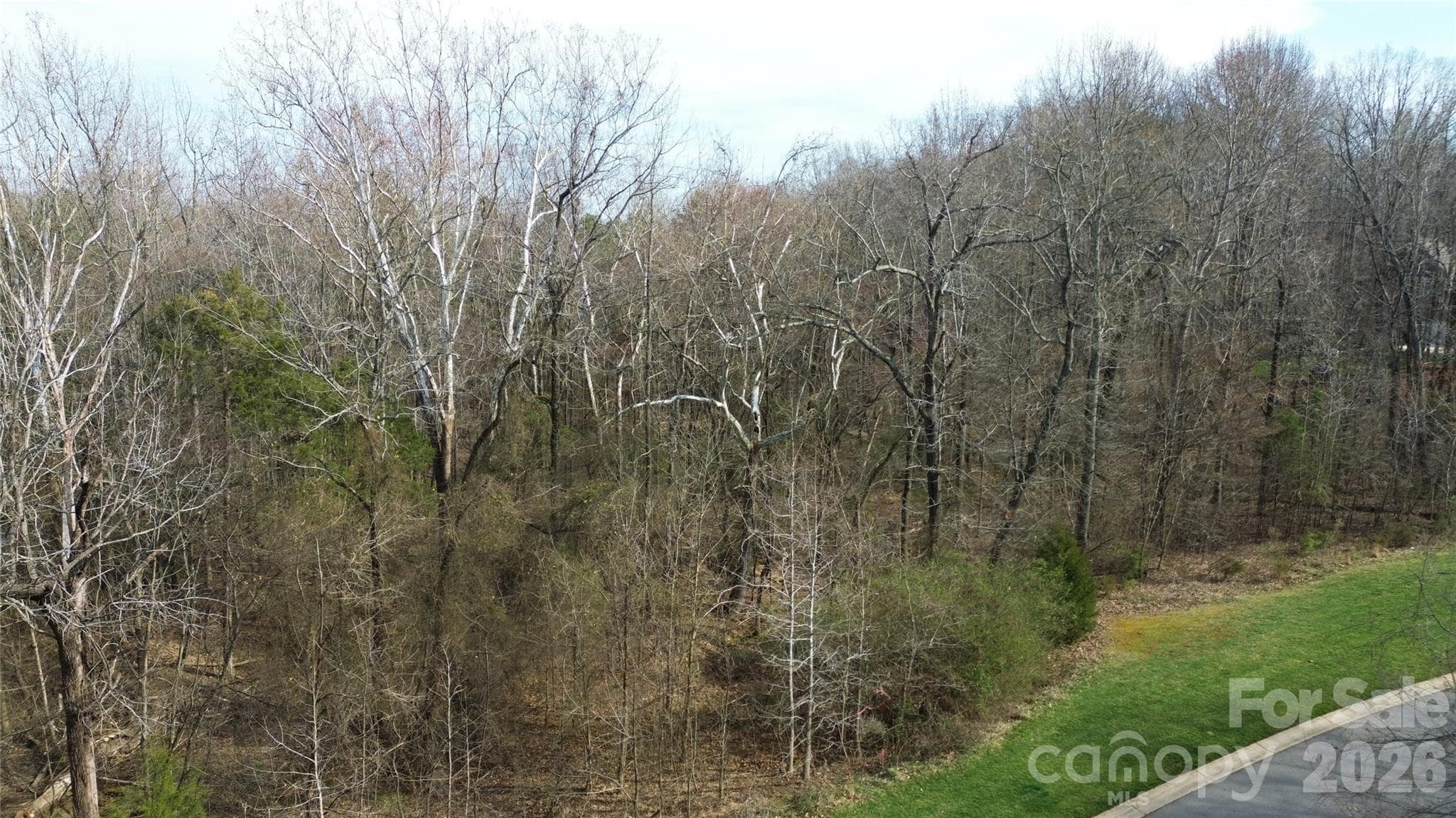 Lot at 8206 Caliterra Drive, Charlotte, photo 4 of 6