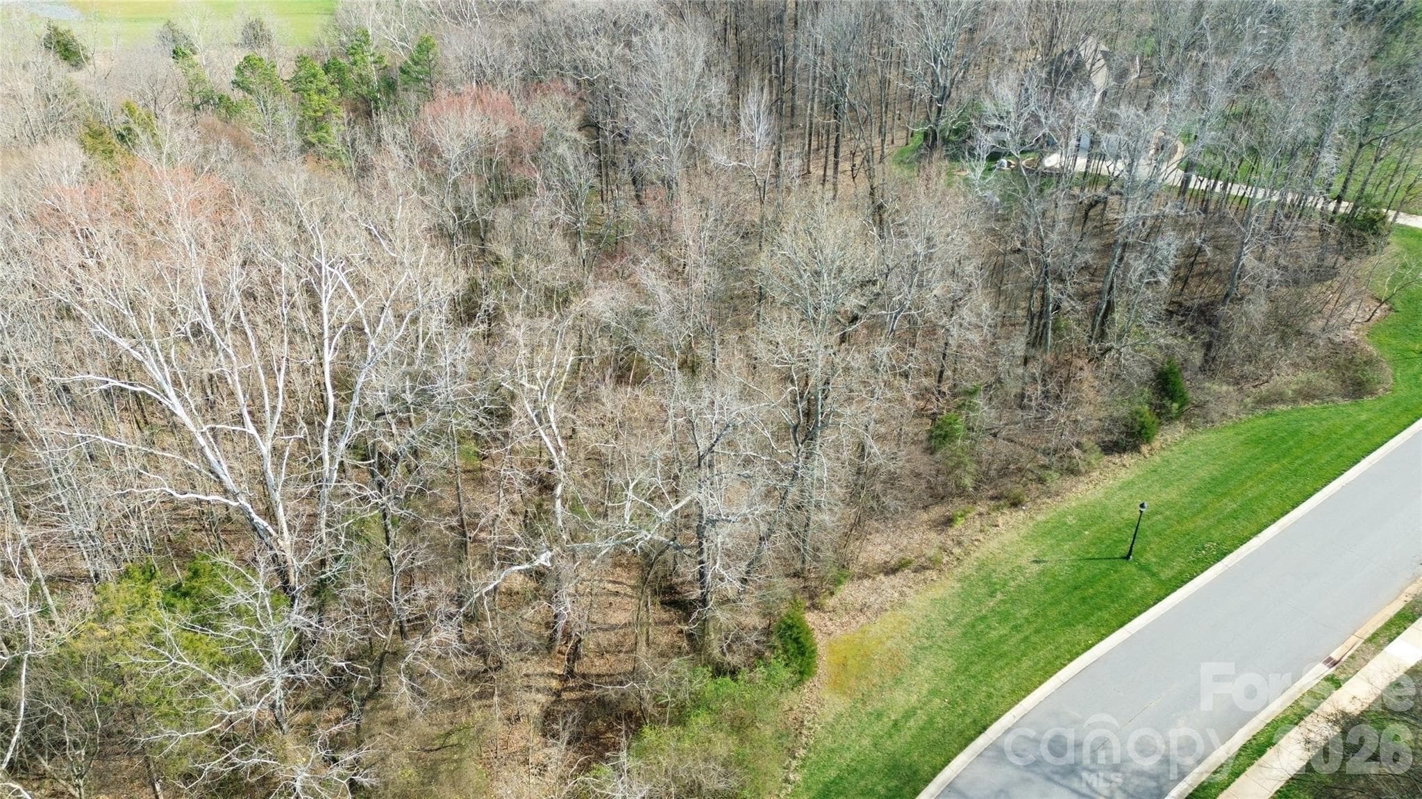 Lot at 8206 Caliterra Drive, Charlotte, photo 5 of 6