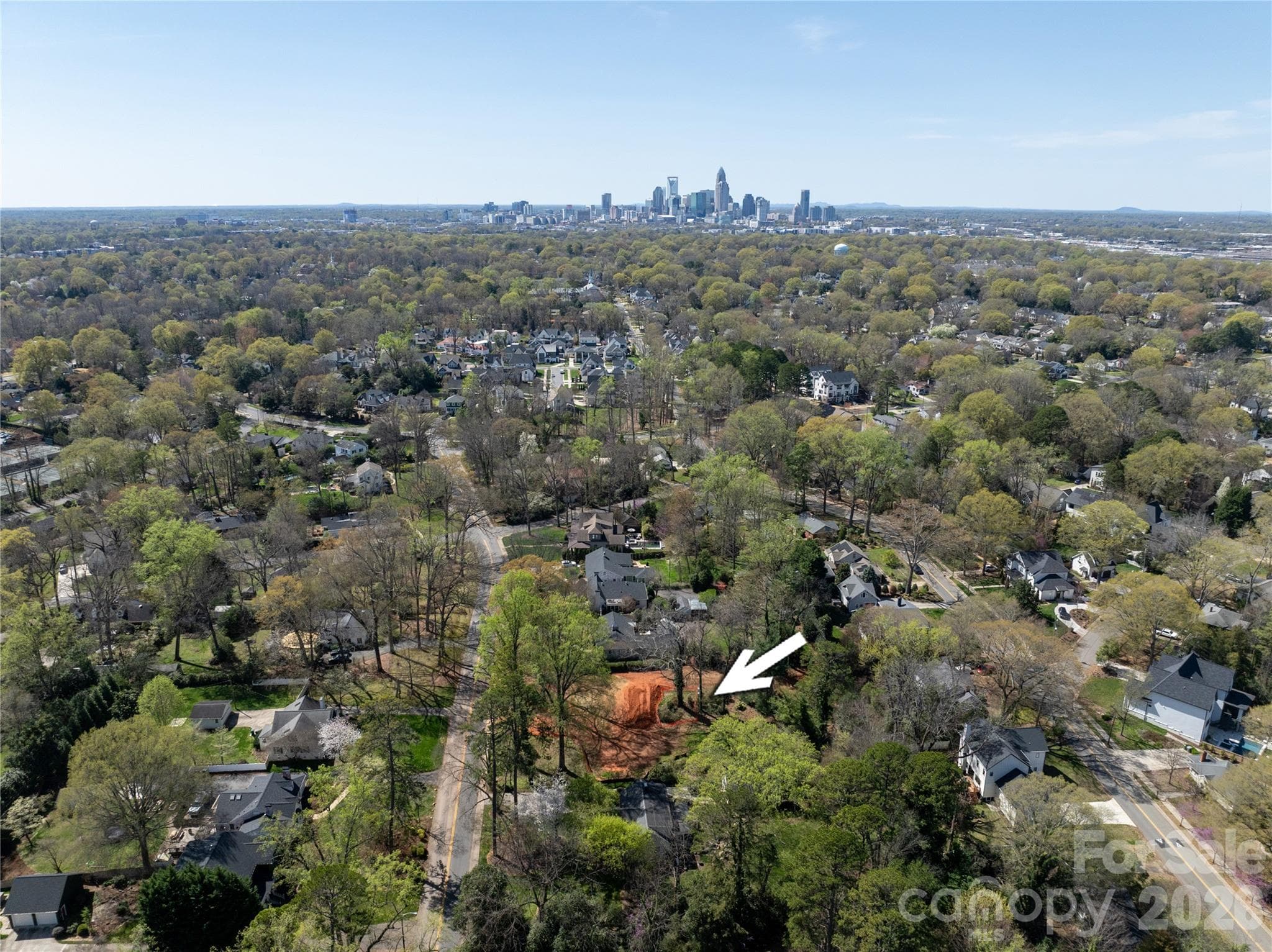 Lot at Charlotte, photo 2 of 5