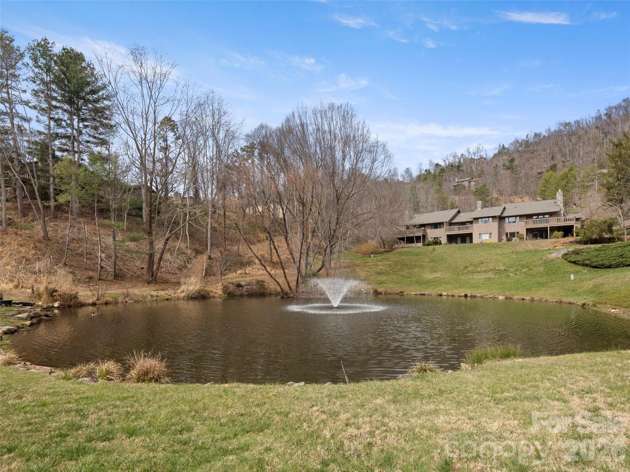 Community pond - Asheville