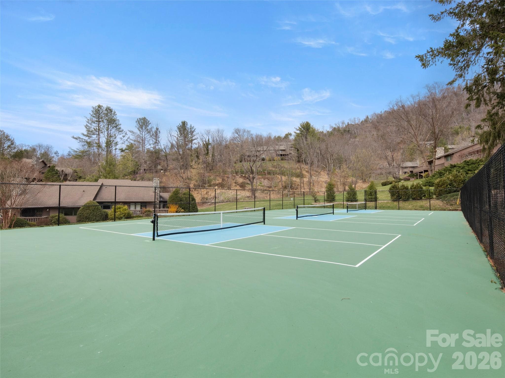 Pickleball anyone? - Asheville