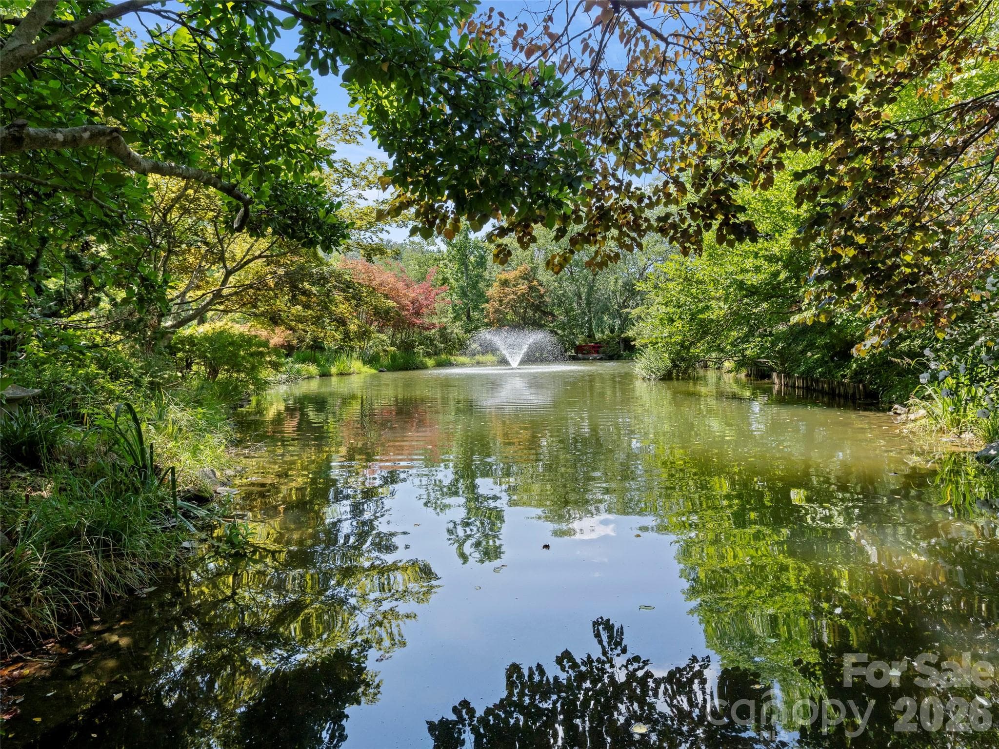 Main pond view from the walking trail - Asheville