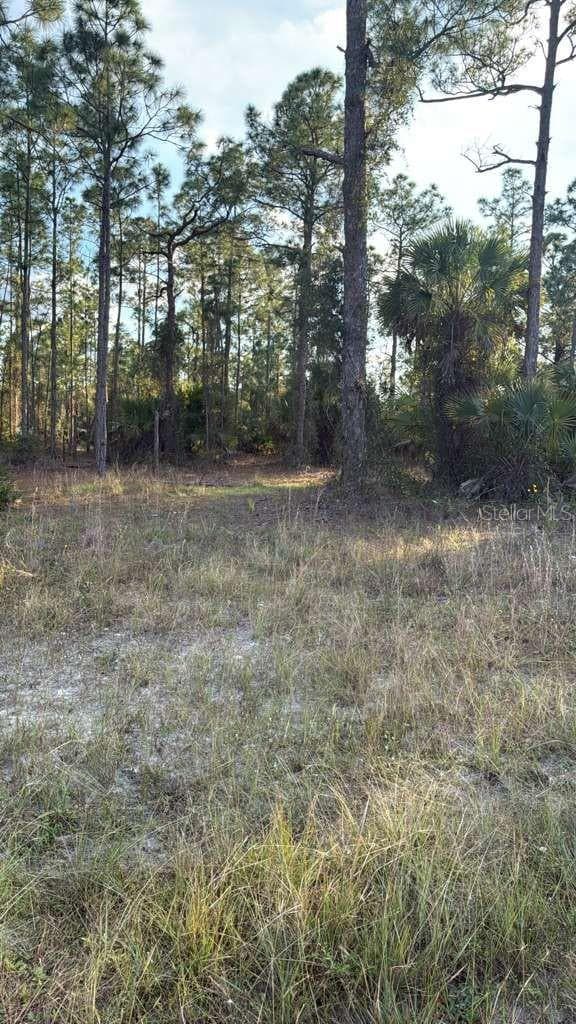 Land at 918 BELMONT ST E, LEHIGH ACRES, photo 2 of 5