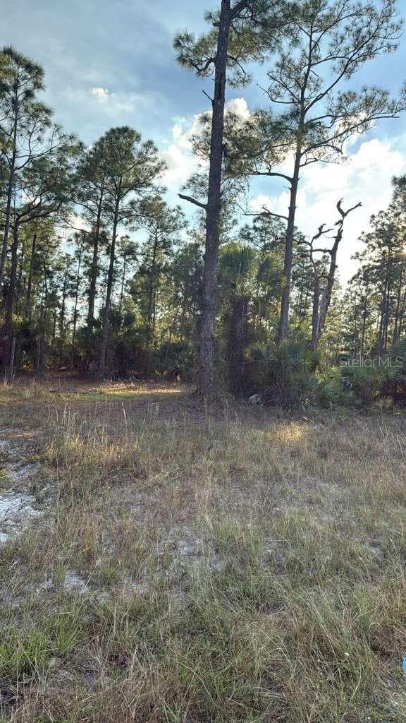 Land at 918 BELMONT ST E, LEHIGH ACRES, photo 3 of 5