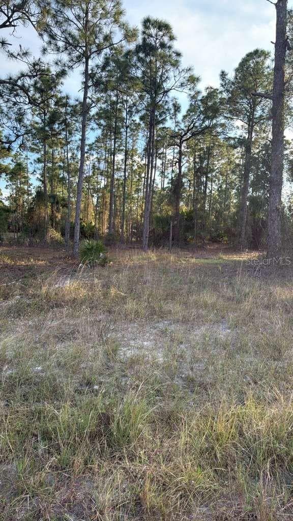 Land at 918 BELMONT ST E, LEHIGH ACRES, photo 4 of 5