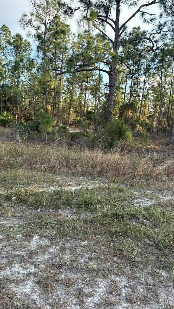 Land at 918 BELMONT ST E, LEHIGH ACRES, photo 5 of 5