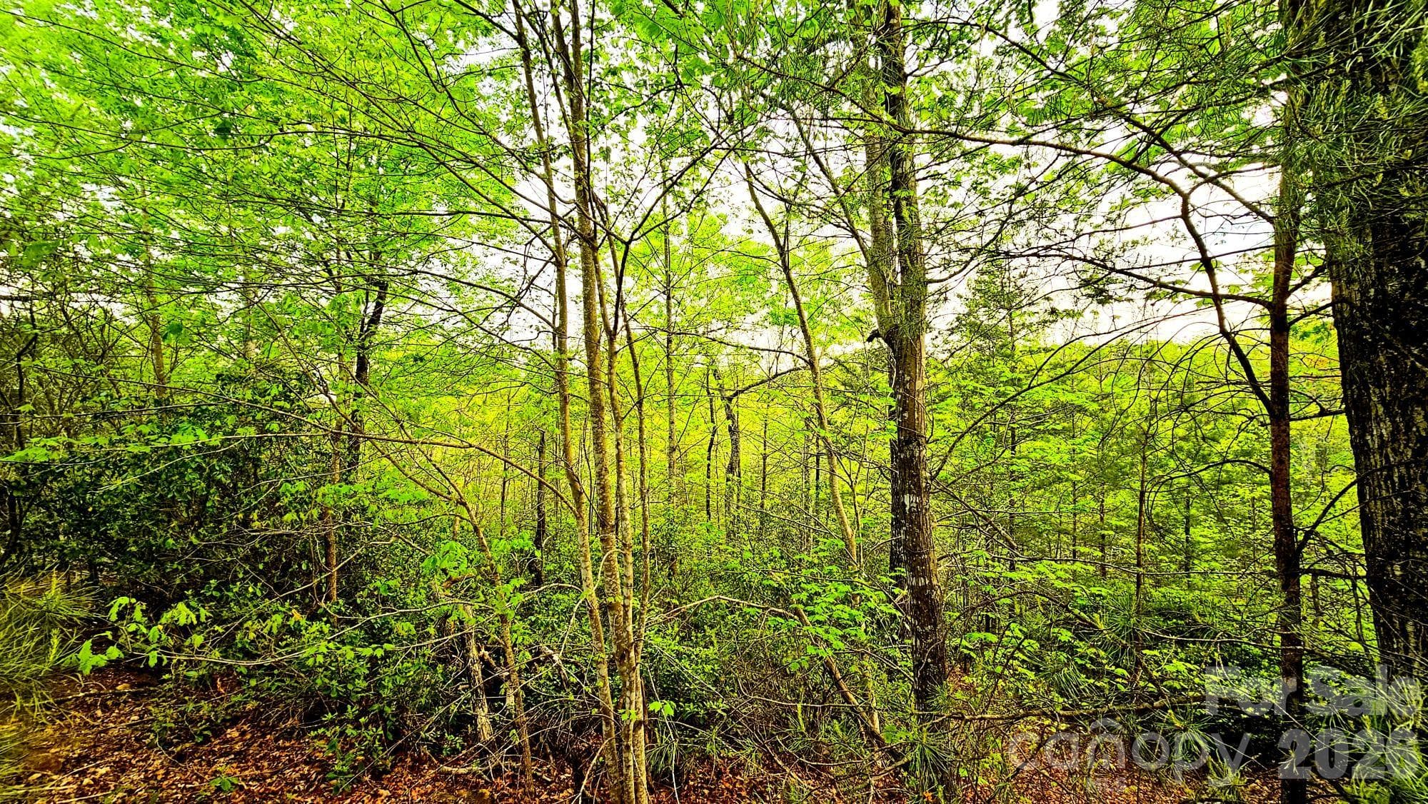Peek a boo mountain views and old "semi circle" in the "woods"... Check it out! - Lot 59 Bear Cliff Way, Lake Lure