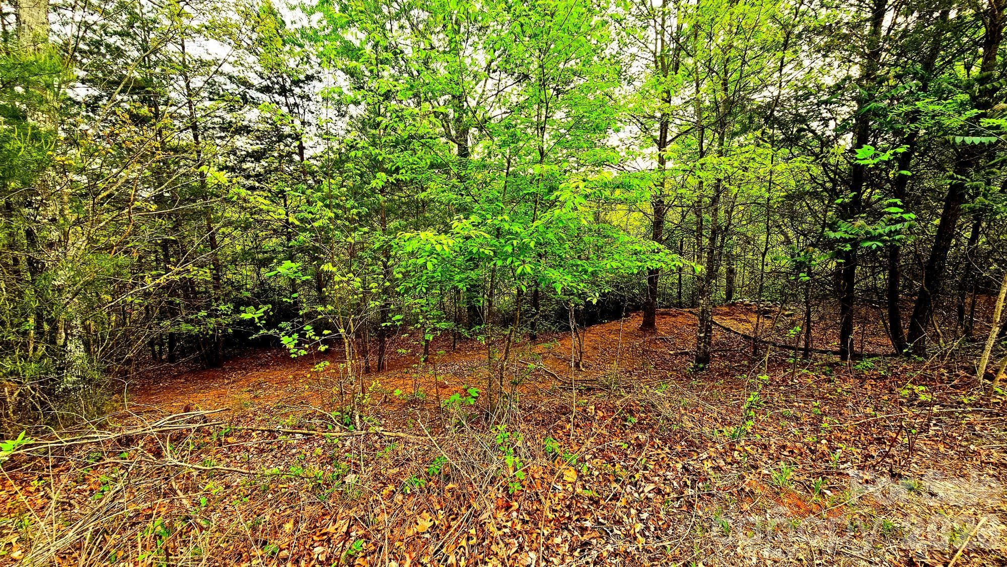 Lot at Lot 59 Bear Cliff Way, Lake Lure, photo 18 of 48