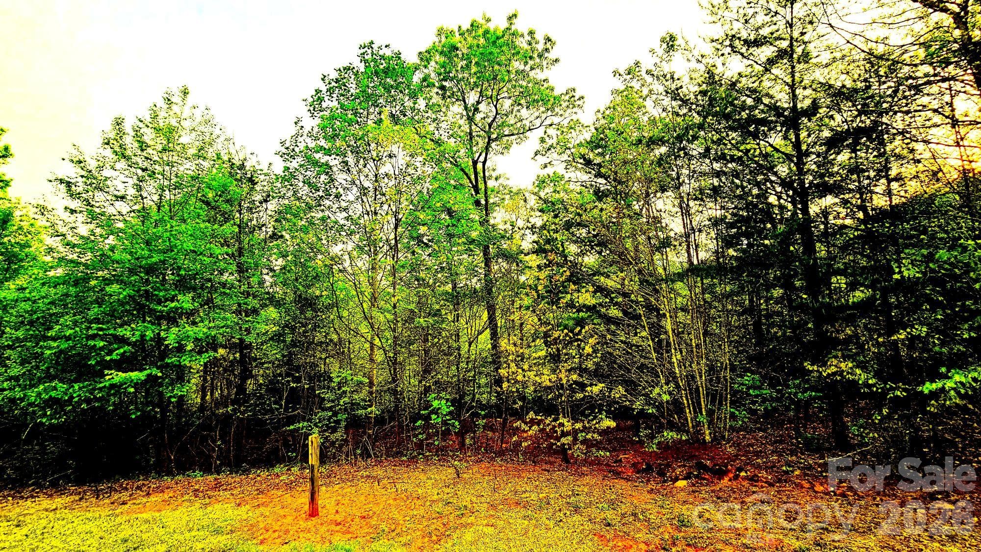 Lot at Lot 59 Bear Cliff Way, Lake Lure, photo 21 of 48