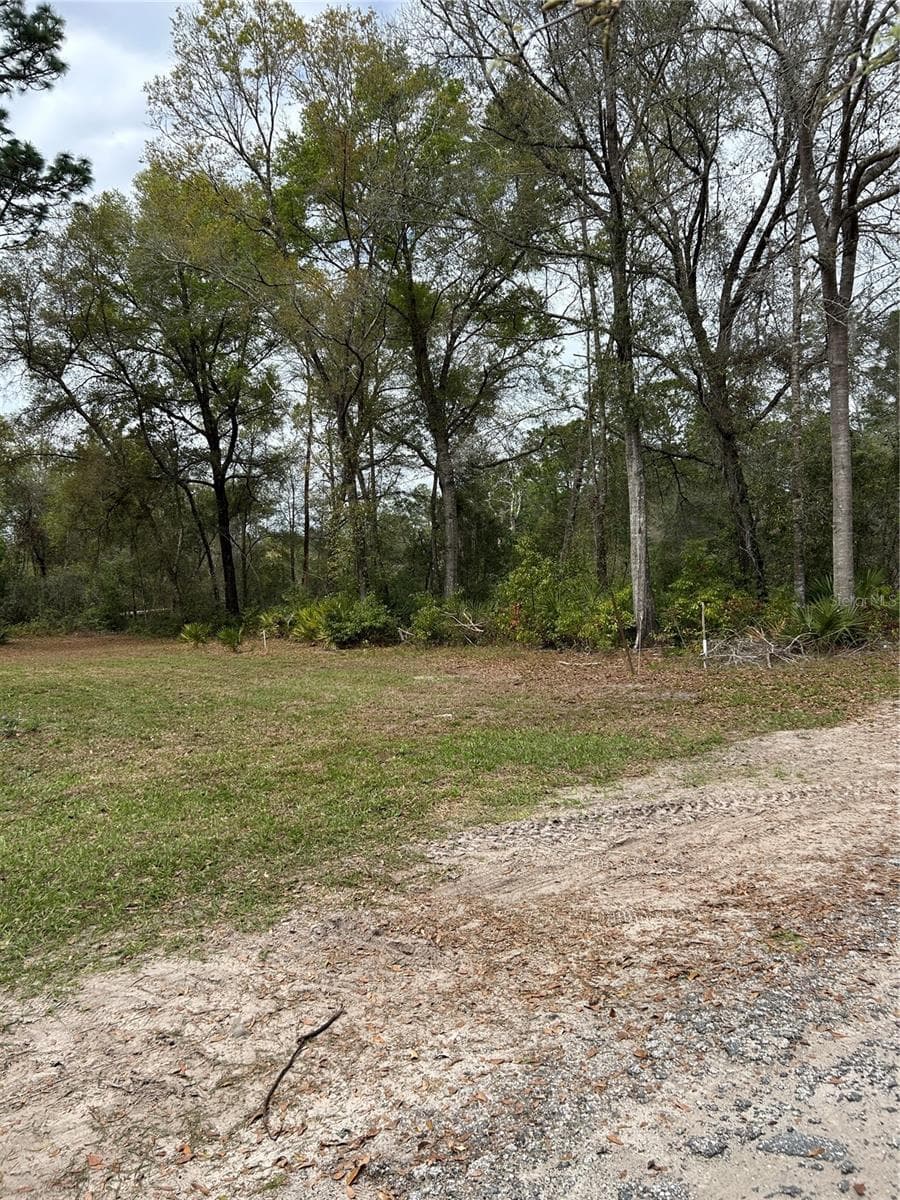 Land at 4TH ST, ALTOONA, photo 6 of 8
