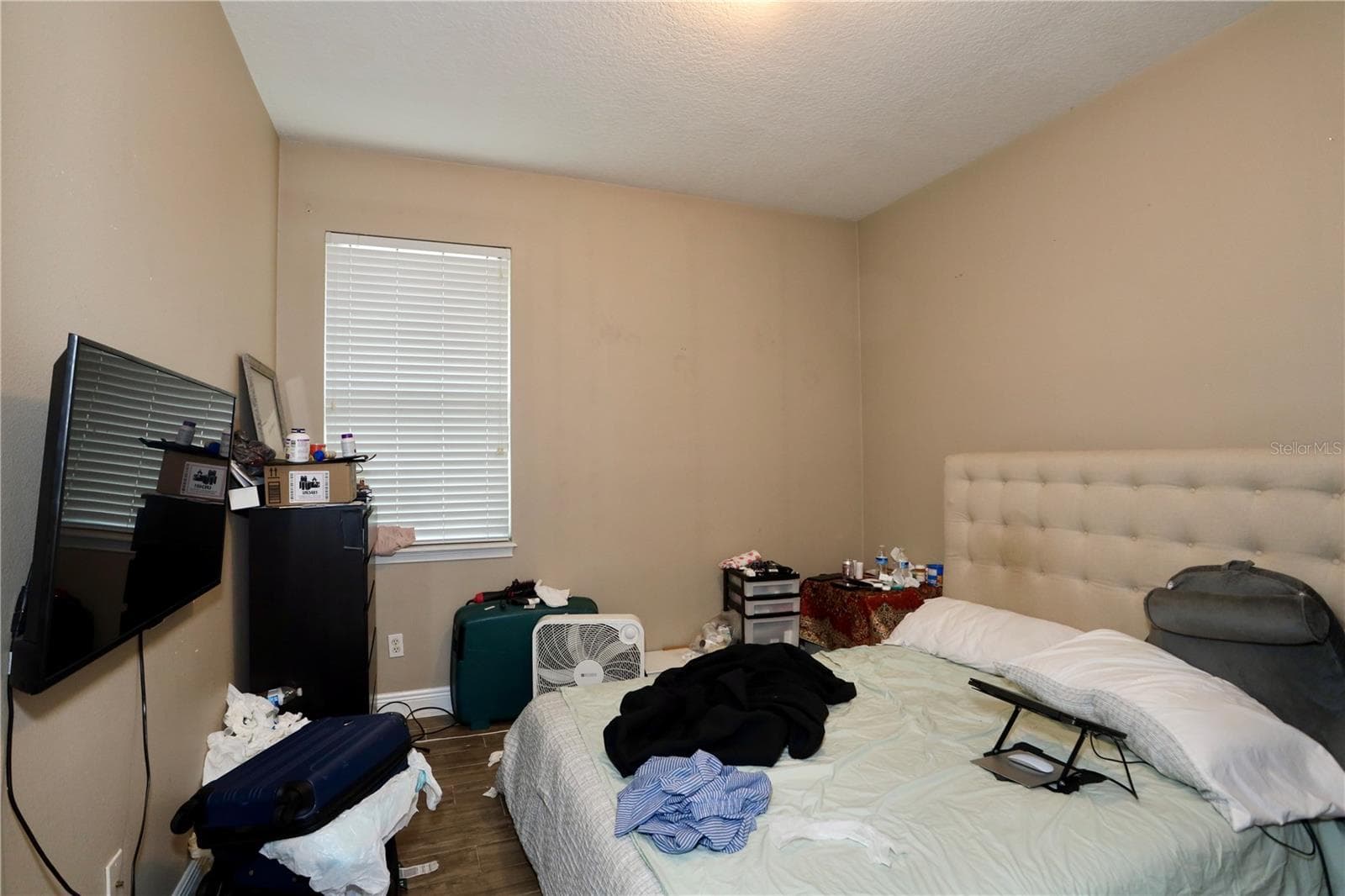 bedroom 2 - 13622 DARCHANCE RD, WINDERMERE