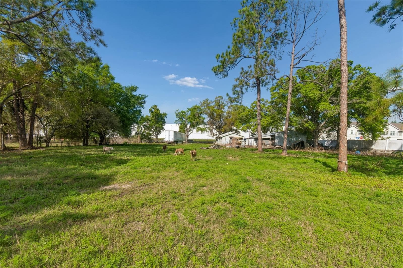 Land at 6213 ORIENT RD, TAMPA, photo 43 of 51