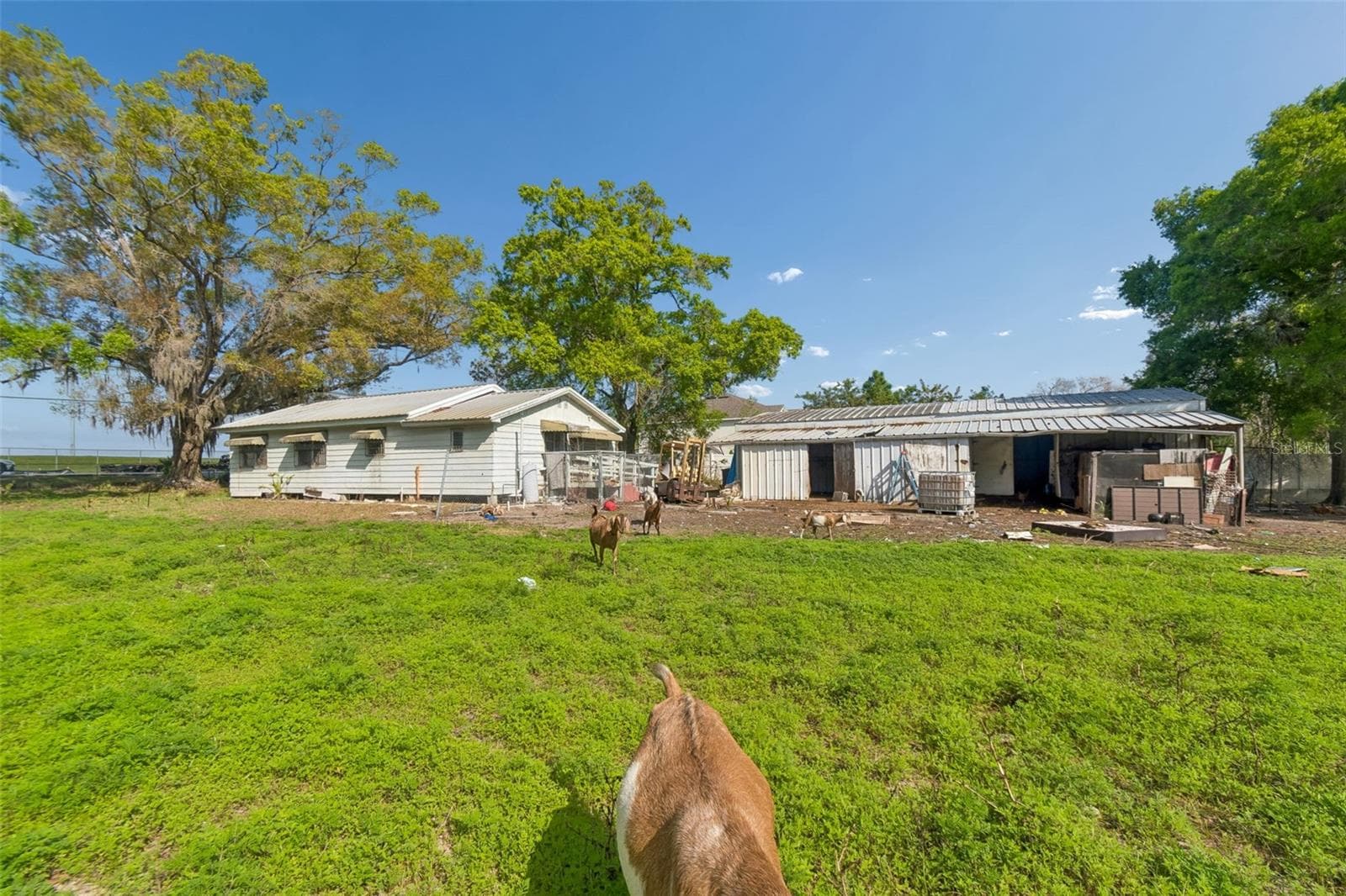 Land at 6213 ORIENT RD, TAMPA, photo 49 of 51