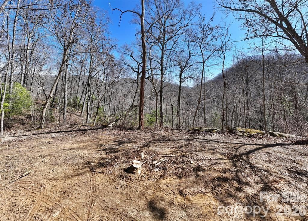 Lot at 99999 Green Ridge Falls Road, Barnardsville, photo 2 of 16