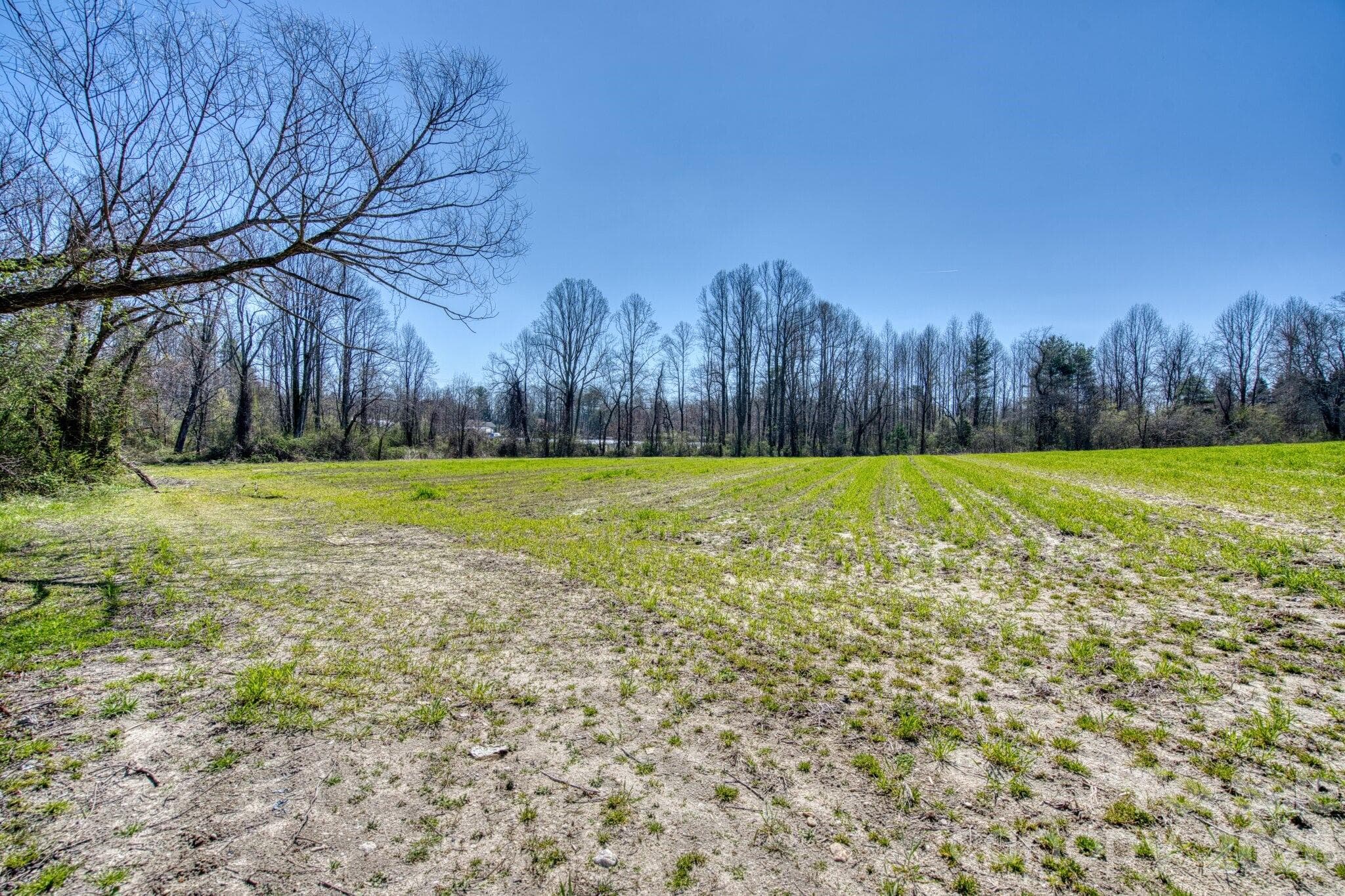 Acreage at Hendersonville, photo 8 of 33